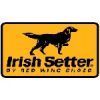 Irish Setter
