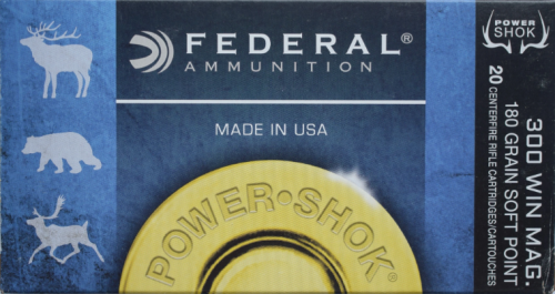 .300 Winchester Magnum