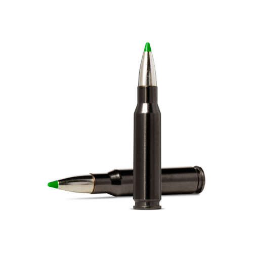 Патрони за карабина NORMA.308Win.PPDC 11.7g/180gr