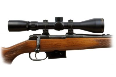 Warne 1" CZ 527 Quick Detach Medium (2 p-c) | 1B1LM