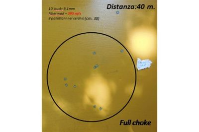 Big Game Palletoni 45g 10P 12/0-Ni 12/20/70